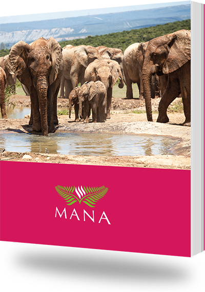 Länderhandbuch-Spezial im MANA-Verlag