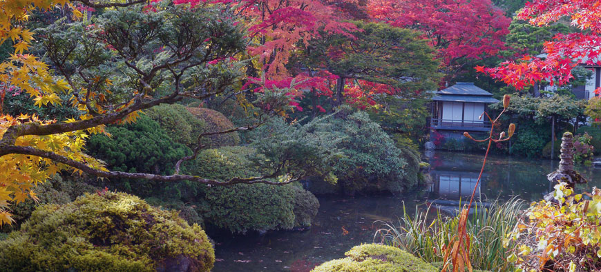 Te Araroa - Zu Fuß durch Neuseeland