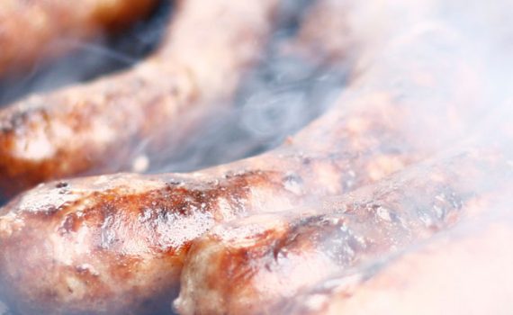 Kängurus sollen auf den Speiseplan