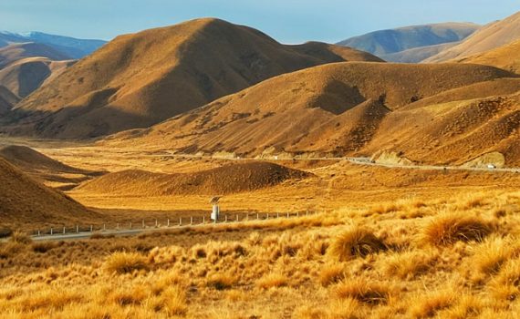 Weihnachtsaktion: Flug nach Neuseeland zu gewinnen