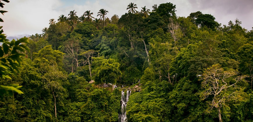 Indonesien – Per Schiff ins Reich der Dajak