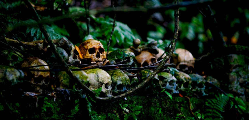 Indonesien – Per Schiff ins Reich der Dajak